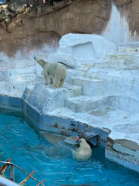 天王寺動物園に投稿された画像（2021/11/3）