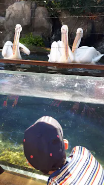 横浜・八景島シーパラダイスに投稿された画像（2021/11/3）