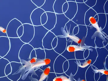 すみだ水族館に投稿された画像（2021/11/3）