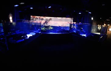 カワスイ 川崎⽔族館に投稿された画像（2021/11/3）