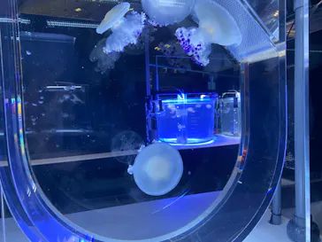 すみだ水族館に投稿された画像（2021/11/3）