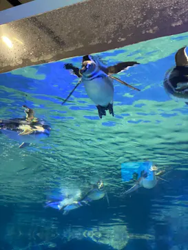 すみだ水族館に投稿された画像（2021/11/3）