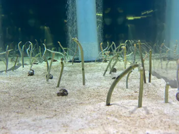 すみだ水族館に投稿された画像（2021/11/3）