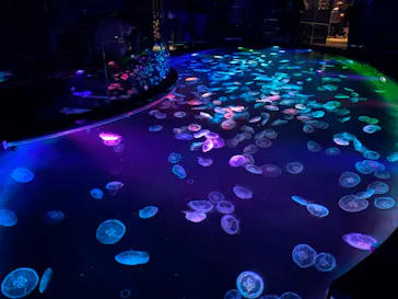 すみだ水族館に投稿された画像（2021/11/3）