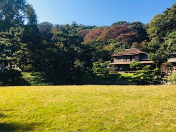 三溪園に投稿された画像（2021/11/3）