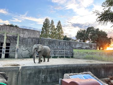 東武動物公園に投稿された画像（2021/11/3）