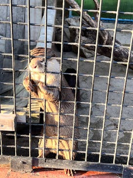 東武動物公園に投稿された画像（2021/11/3）