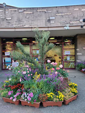 ひらかたパークに投稿された画像（2021/11/3）