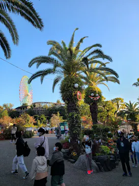 ひらかたパークに投稿された画像（2021/11/3）