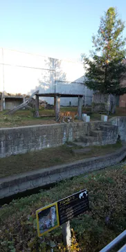 天王寺動物園に投稿された画像（2021/11/3）