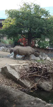 天王寺動物園に投稿された画像（2021/11/3）