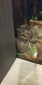 天王寺動物園に投稿された画像（2021/11/3）