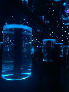 マクセル アクアパーク品川に投稿された画像（2021/11/3）