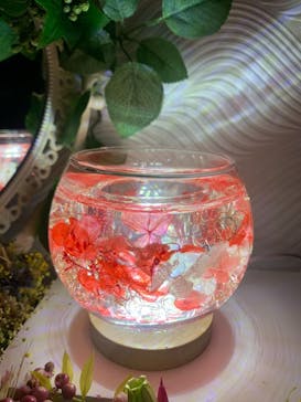 ずこうしつ〜sugamo〜に投稿された画像（2021/11/3）