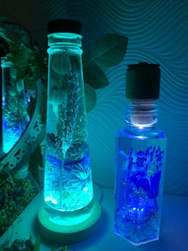 ずこうしつ〜sugamo〜に投稿された画像（2021/11/3）