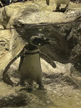 すみだ水族館に投稿された画像（2021/11/3）