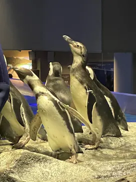 すみだ水族館に投稿された画像（2021/11/3）