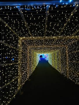 KYOTO ILLUMINATION SYNESTHESIA HILLS るり渓温泉に投稿された画像（2021/11/3）