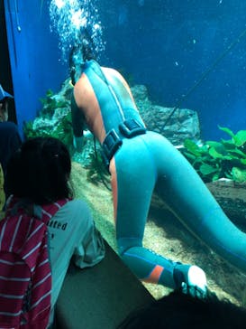 サンシャイン水族館に投稿された画像（2021/11/3）