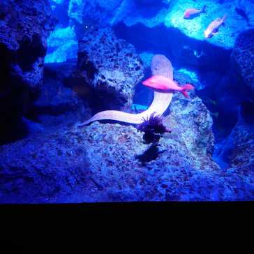 すみだ水族館に投稿された画像（2021/11/3）