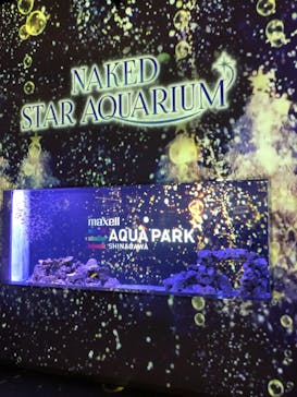 マクセル アクアパーク品川に投稿された画像（2021/11/3）