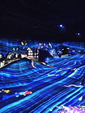 森ビル デジタルアート ミュージアム：エプソン チームラボボーダレスに投稿された画像（2021/11/3）