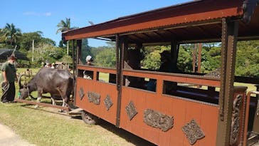 ビオスの丘に投稿された画像（2021/11/3）