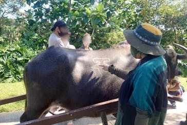 ビオスの丘に投稿された画像（2021/11/3）