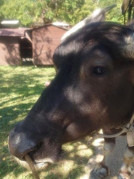 ビオスの丘に投稿された画像（2021/11/3）