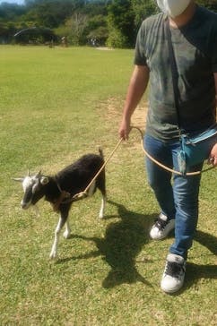 ビオスの丘に投稿された画像（2021/11/3）