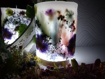 ずこうしつ〜sugamo〜に投稿された画像（2021/11/3）