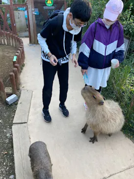 横浜・八景島シーパラダイスに投稿された画像（2021/11/3）