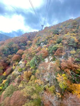 びわ湖バレイに投稿された画像（2021/11/3）