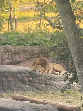 天王寺動物園に投稿された画像（2021/11/3）