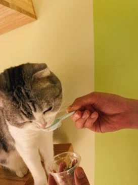 Moff animal world MARK IS みなとみらい店に投稿された画像（2021/11/3）