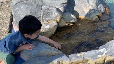 大分マリーンパレス水族館 「うみたまご」に投稿された画像（2021/11/3）