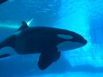 名古屋港水族館に投稿された画像（2021/11/3）