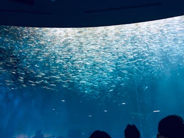 名古屋港水族館に投稿された画像（2021/11/3）