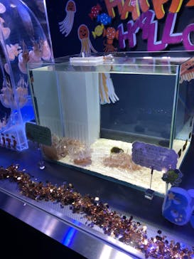 名古屋港水族館に投稿された画像（2021/11/3）