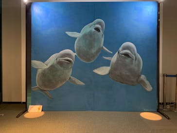 島根県立 しまね海洋館に投稿された画像（2021/11/3）