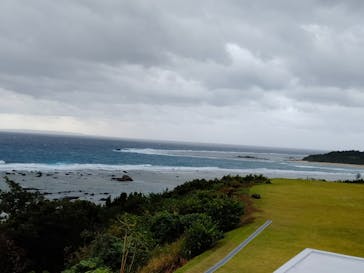 ミッドナイトツアー 奄美に投稿された画像（2021/11/3）