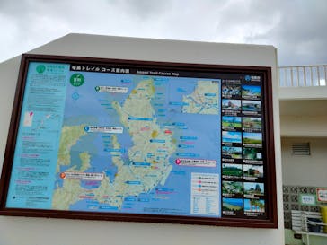 ミッドナイトツアー 奄美に投稿された画像（2021/11/3）