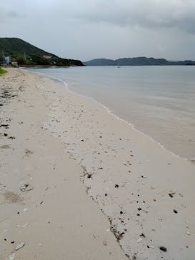 ミッドナイトツアー 奄美に投稿された画像（2021/11/3）