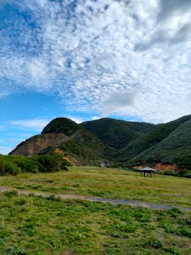 ミッドナイトツアー 奄美に投稿された画像（2021/11/3）