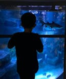 すみだ水族館に投稿された画像（2021/11/3）