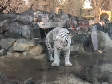 東武動物公園に投稿された画像（2021/11/3）