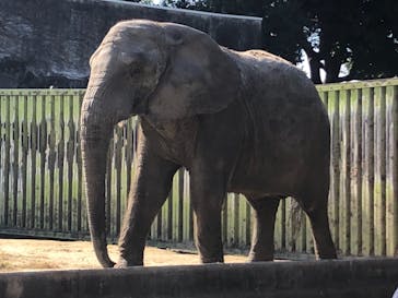 東武動物公園に投稿された画像（2021/11/3）