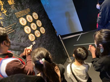 小田原城に投稿された画像（2021/11/3）