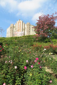 西武園ゆうえんちに投稿された画像（2021/11/3）