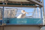 サンシャイン水族館に投稿された画像（2021/11/3）